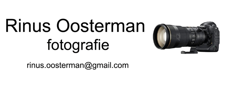 RinusOostermanFotografie